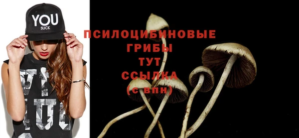 PSILOCYBIN Богданович