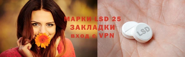 PSILOCYBIN Богданович