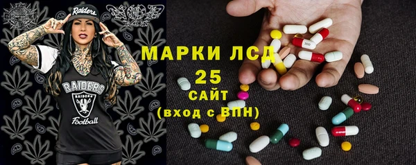 PSILOCYBIN Богданович