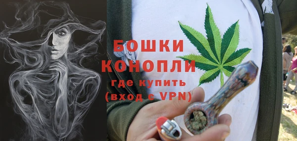 амф Богородск