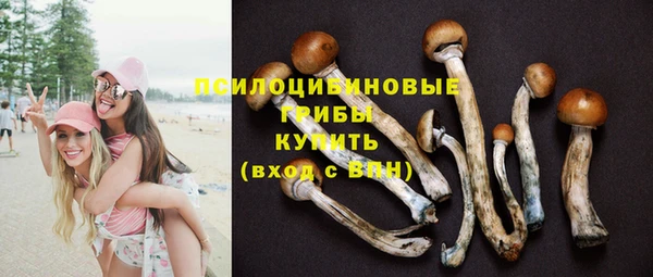 PSILOCYBIN Богданович
