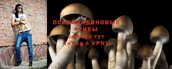 герыч Богородицк