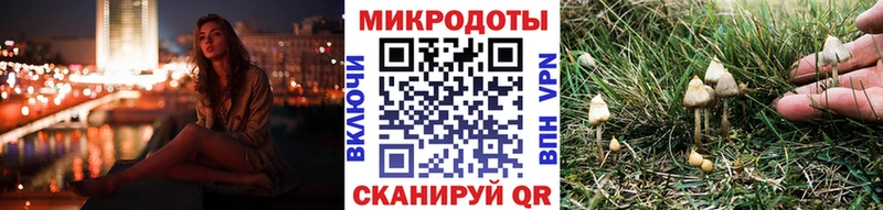 Галлюциногенные грибы ЛСД shop состав Норильск